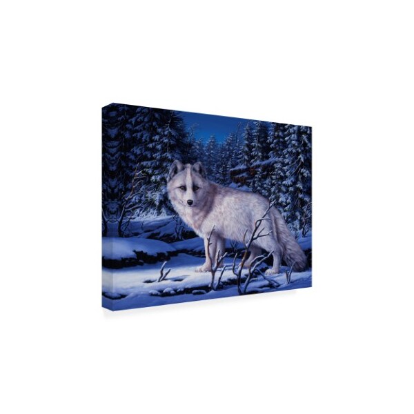 R W Hedge 'Blue Northern' Canvas Art,24x32